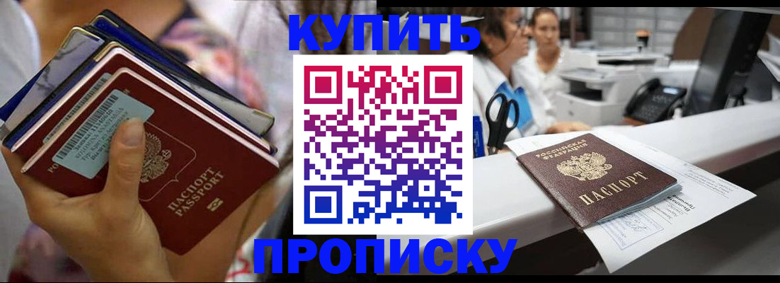 прописка для школы в Северске